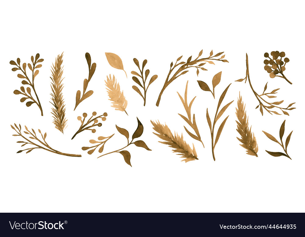 Set of sepia beige brown watercolor botanical vector image Set of sepia beige brown watercolor botanical