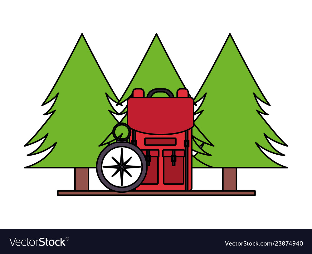 Camping backpack compass trees