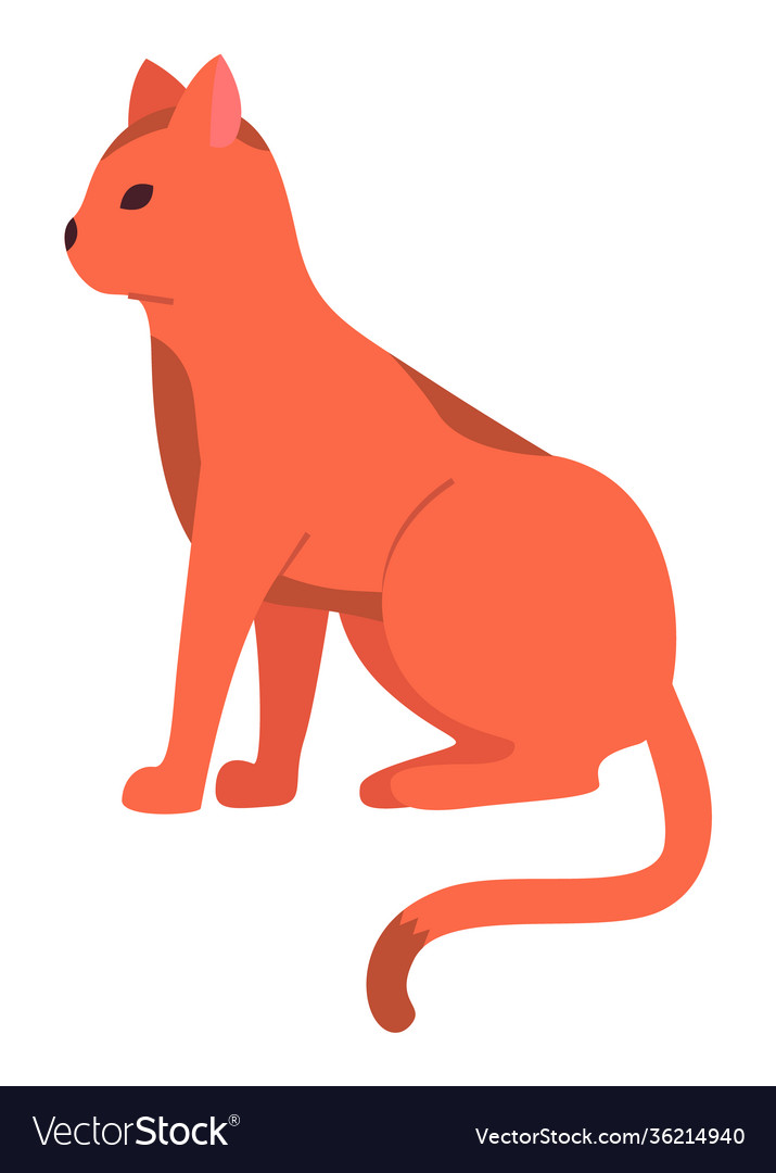 Красный мультяшный кот