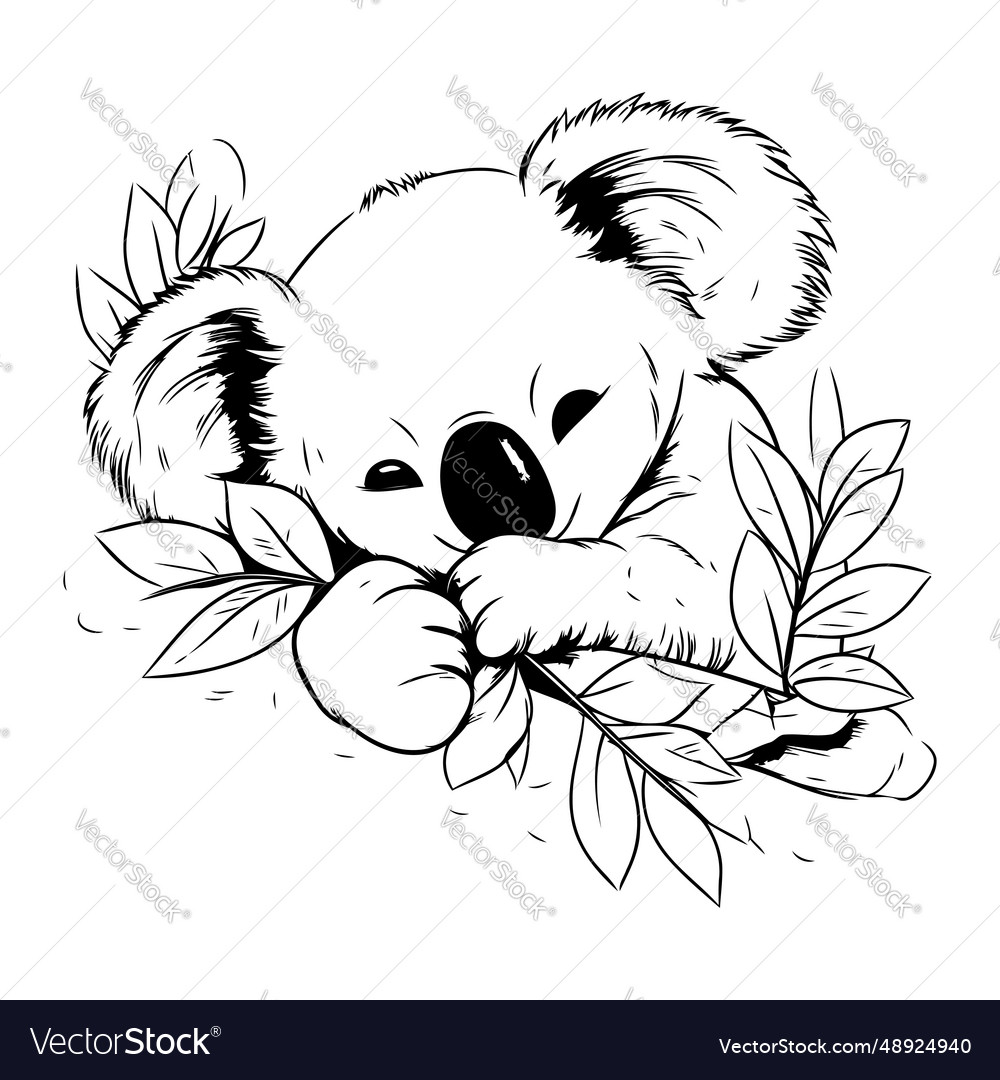 Cute koala with leaves in black and white