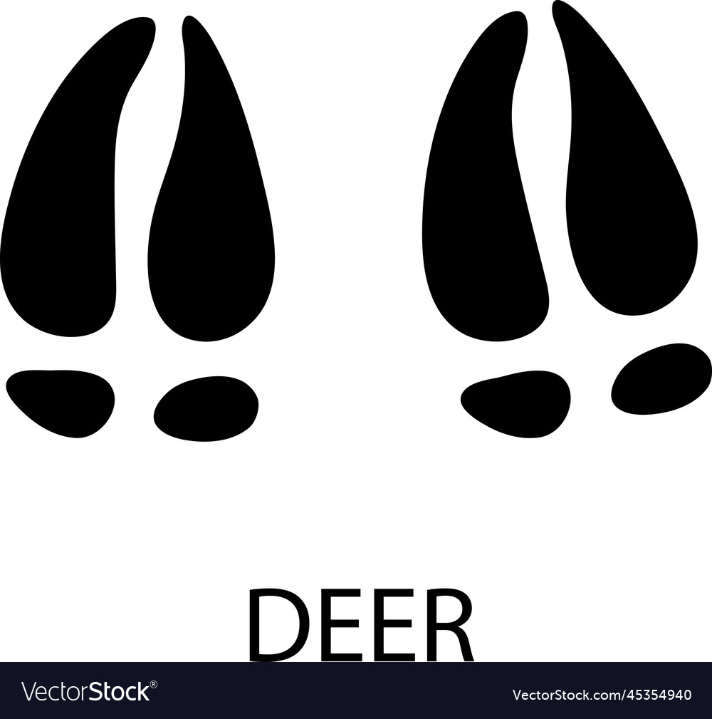 Deer foot print on white background