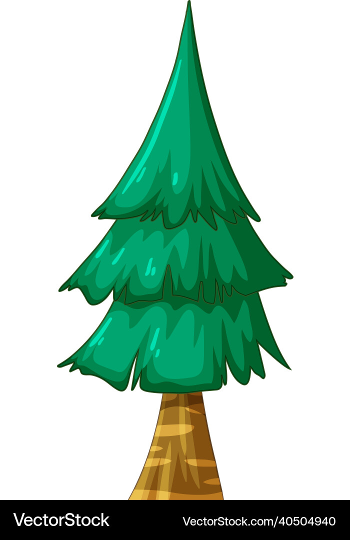 Isolated pine tree on white background Royalty Free Vector