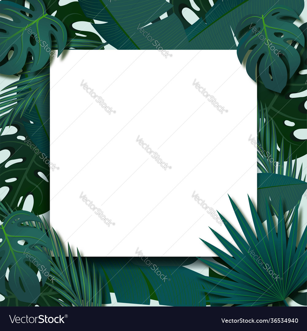 Tropical foliage frame template vector image Tropical foliage frame template