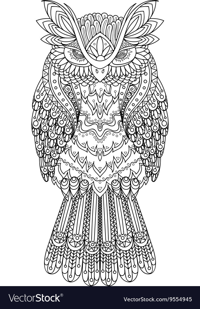 Entangle Owl Ornate Royalty Free Vector Image Vectorstock