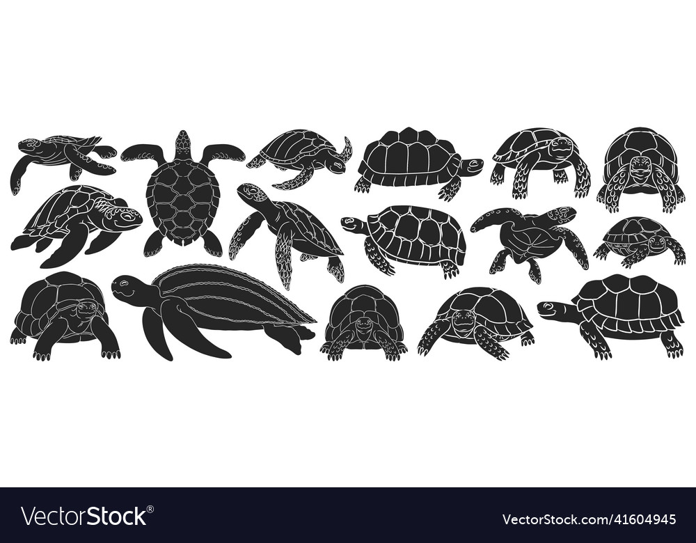 Sea turtle black set icon Royalty Free Vector Image