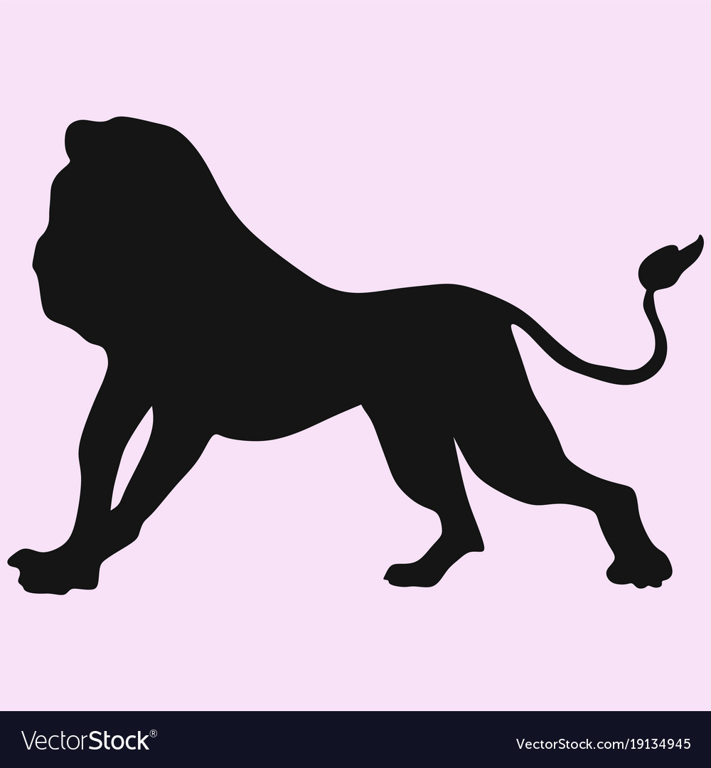 Side view lion walking Royalty Free Vector Image