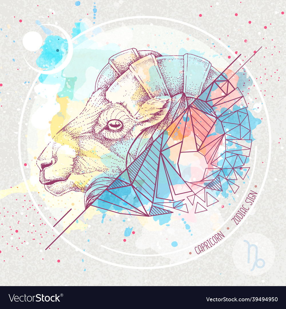 Realistic hand drawing and polygonal ram head vector image Realistic hand drawing and polygonal ram head