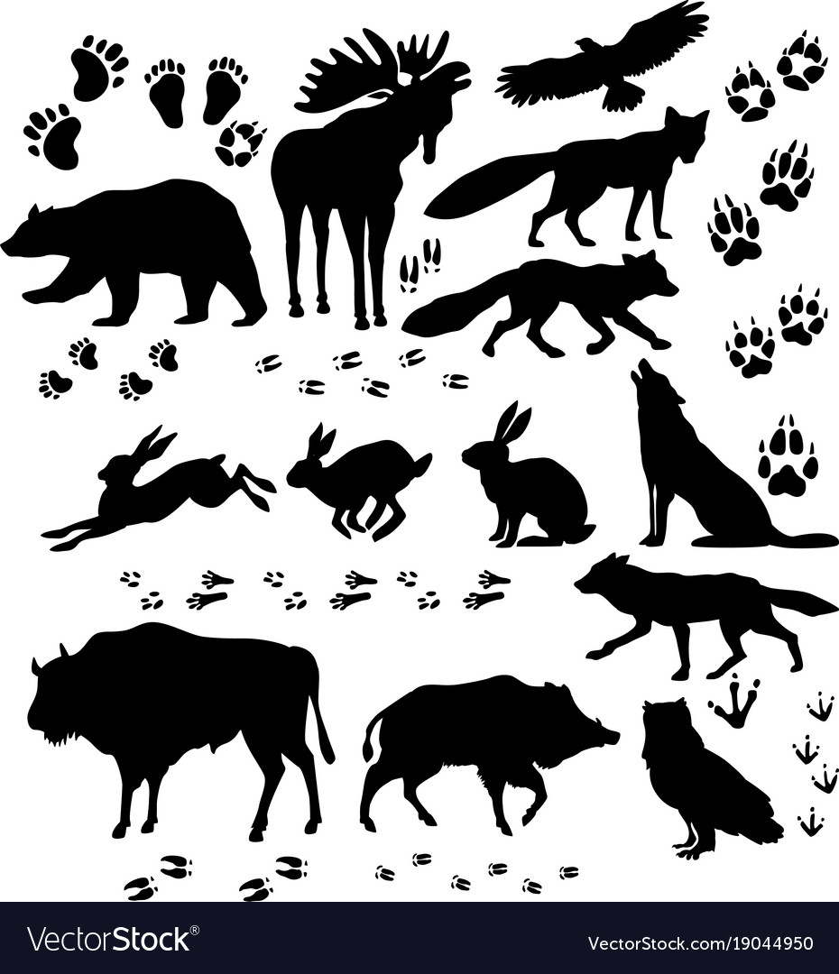 Wild animals and birds silhouette Royalty Free Vector Image Wild animals and birds silhouette Royalty Free Vector Image