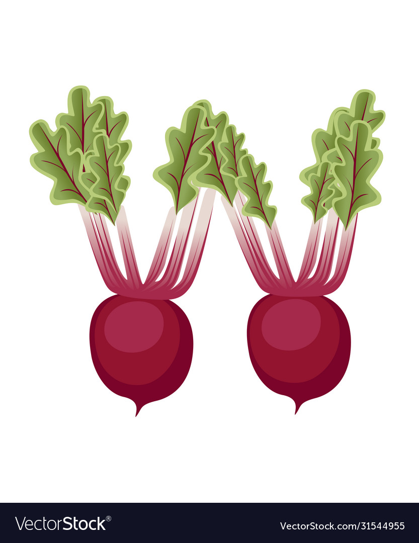 Vegetable letter w radish style cartoon