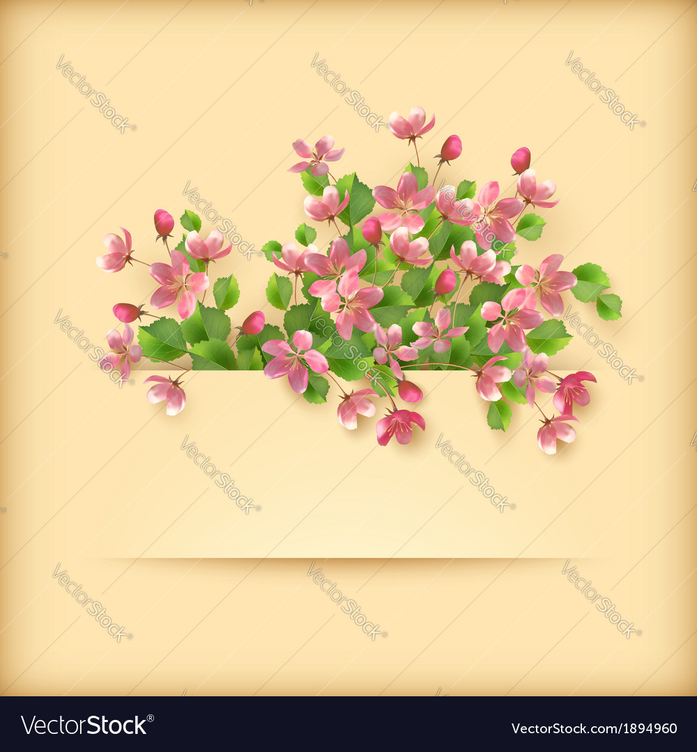 Pink Cherry Blossom Floral Card