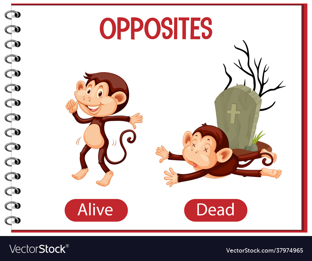 Opposite Word For Alive And Dead Illustration Royalty Free SVG, Cliparts,  Vectors, and Stock Illustration. Image 71260664.