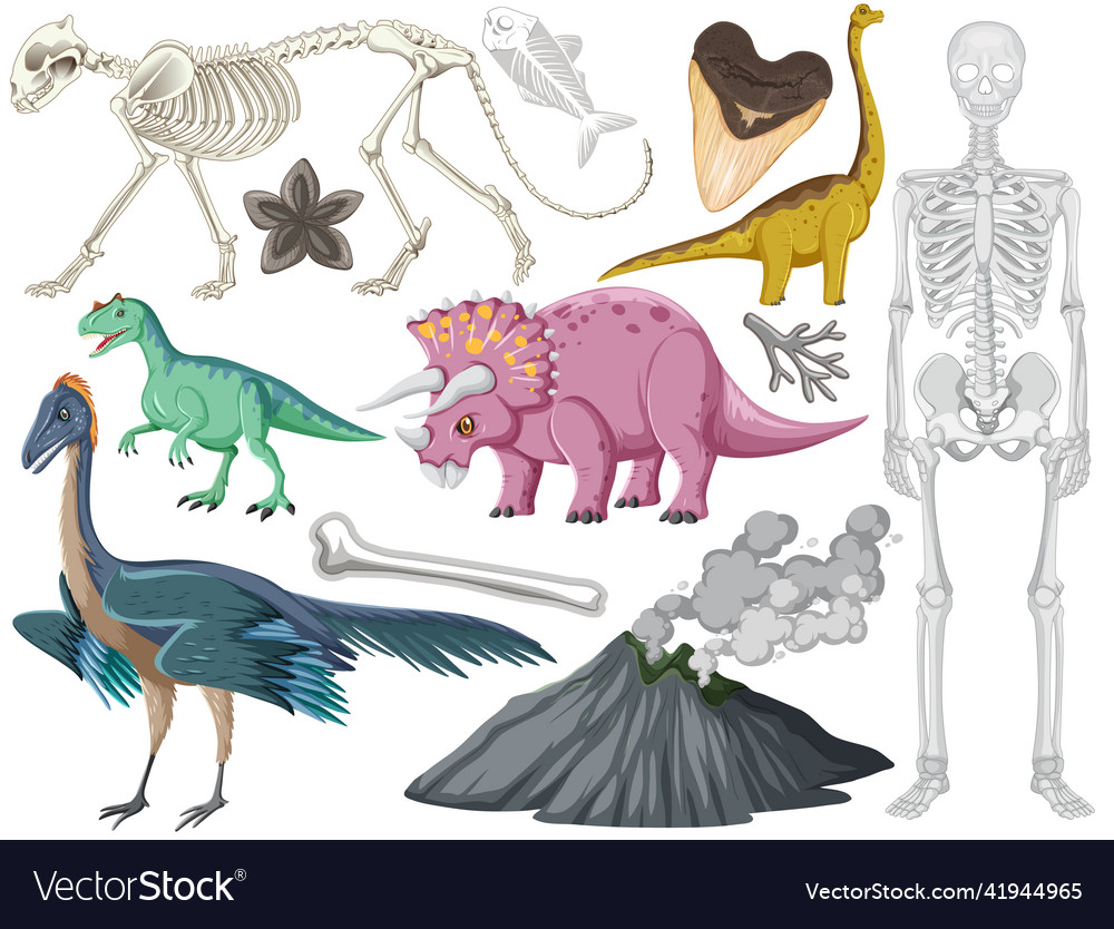 Set of different prehistoric dinosaur animal vector image Set of different prehistoric dinosaur animal