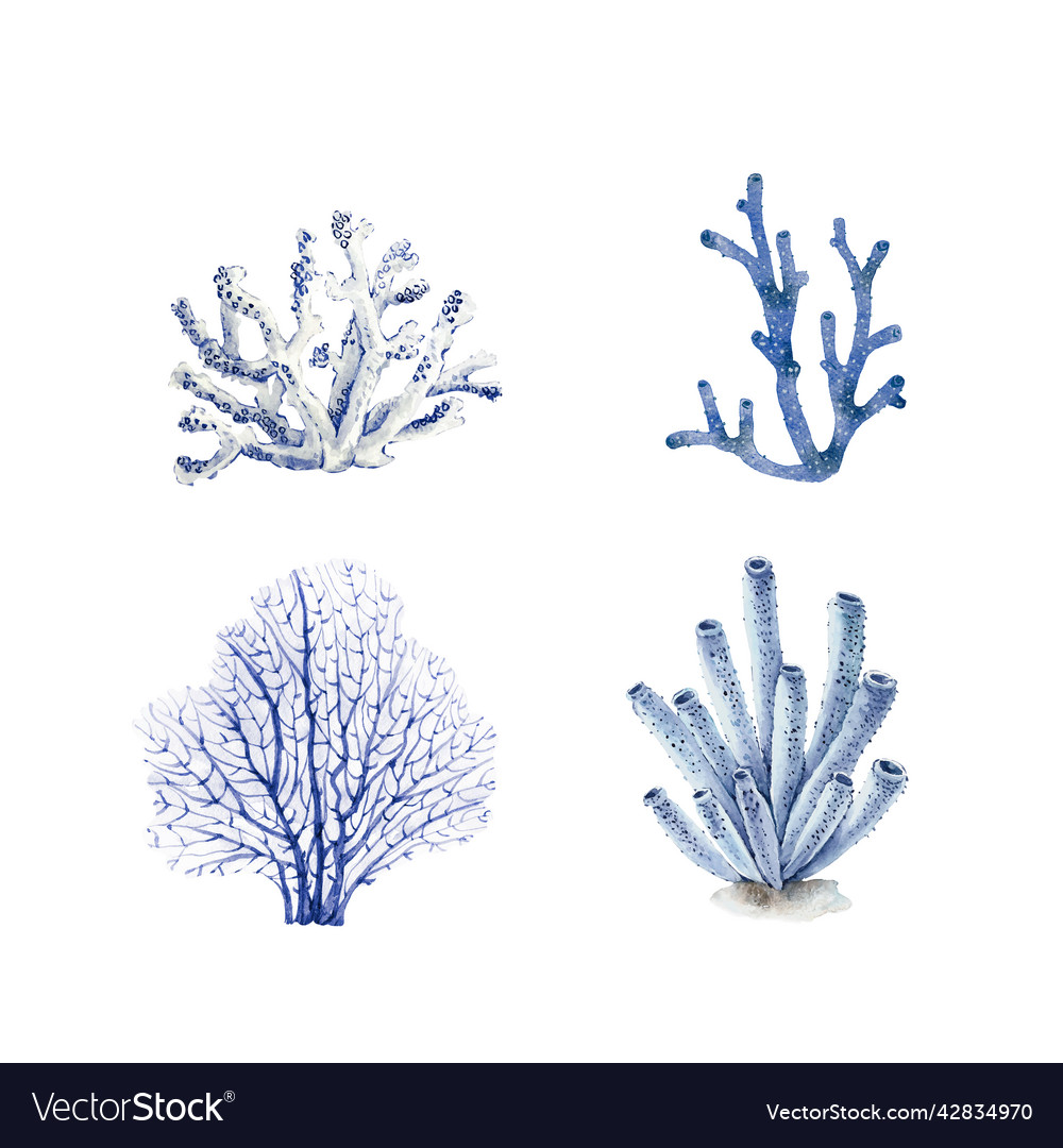 Set of blue corals on a white background