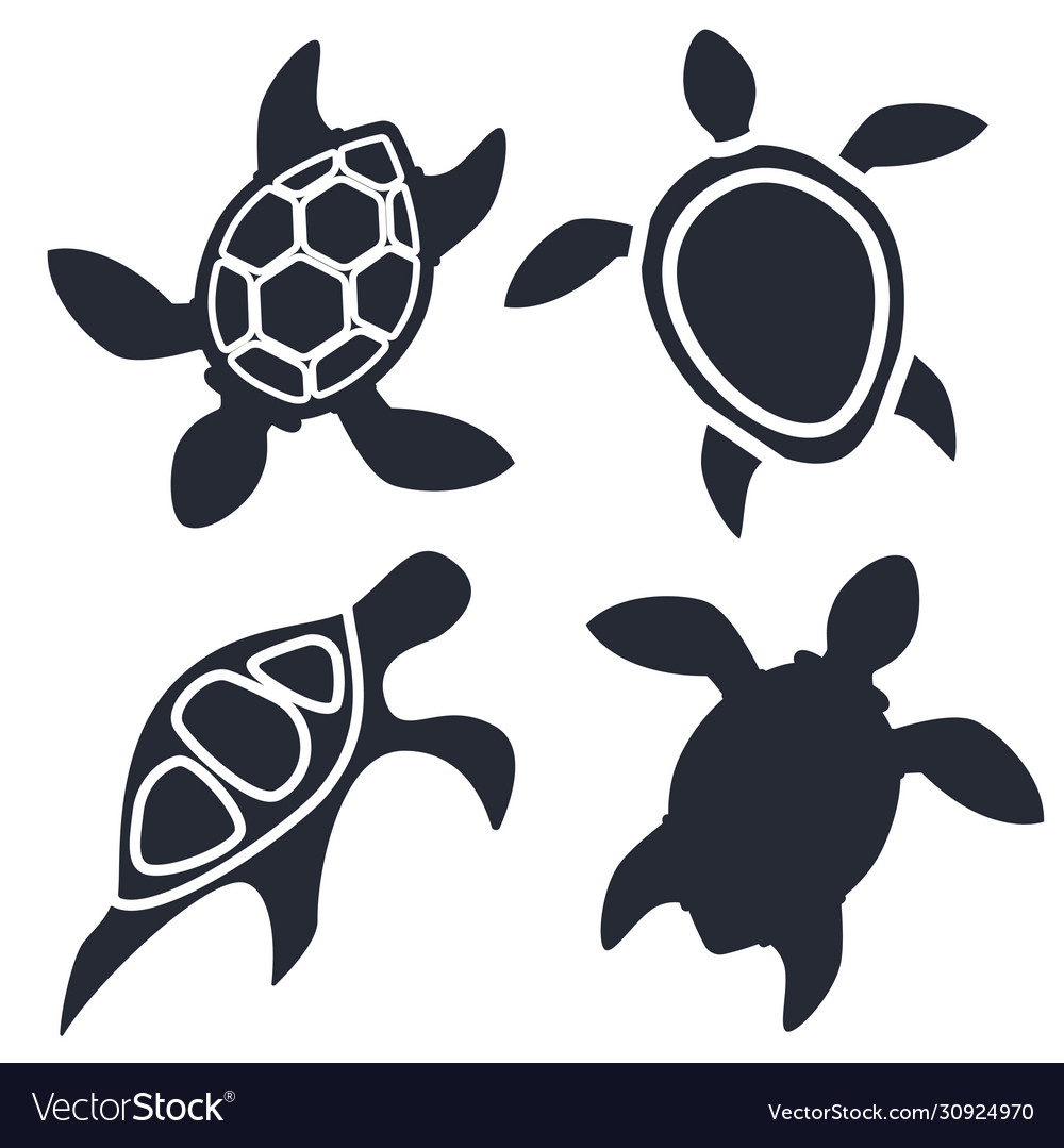 Turtles icons Royalty Free Vector Image - VectorStock