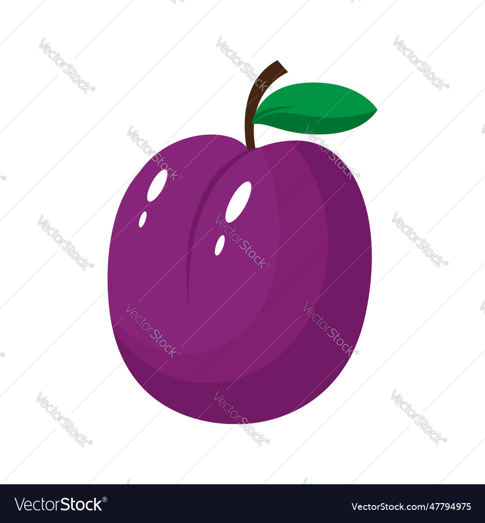 Plum icon fruit isolated on a white background