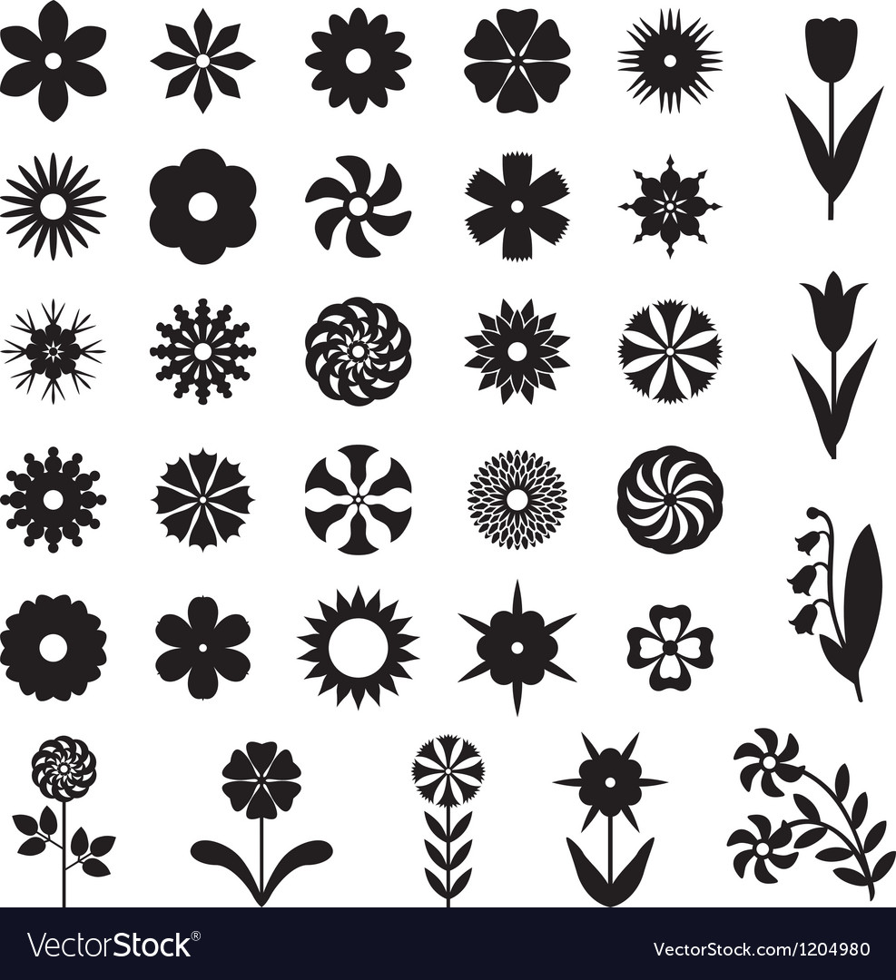 Flower set Royalty Free Vector Image - VectorStock