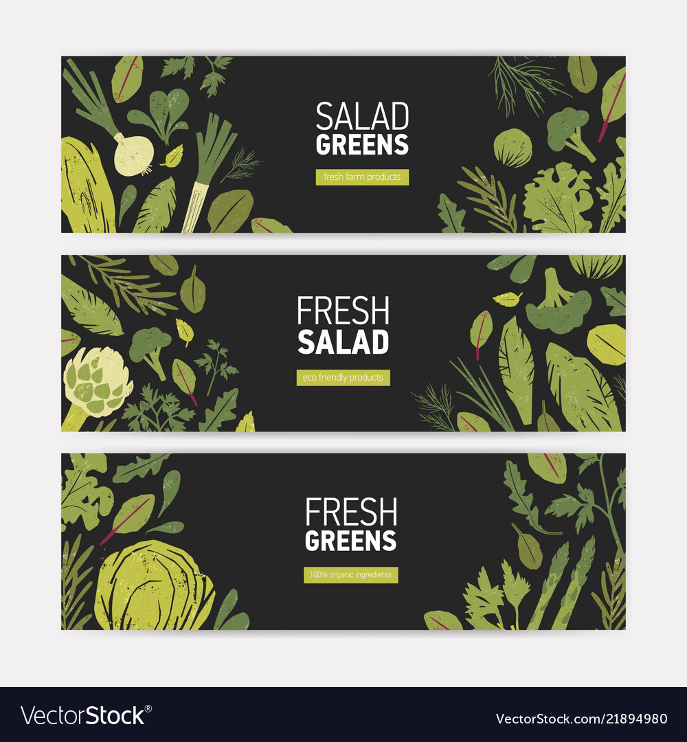 Fresh Green Vegetable Banner Set