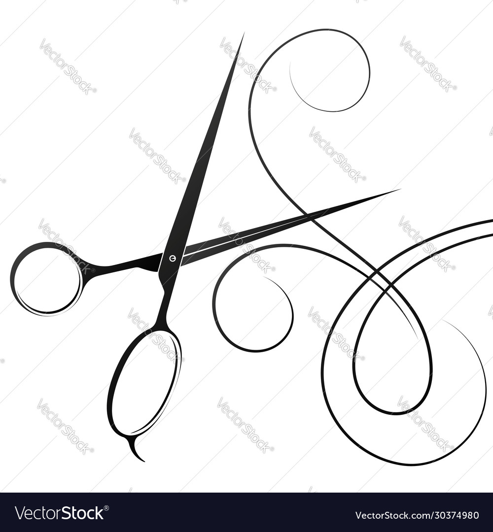 Hair stylist scissors silhouette and curl Vector Image