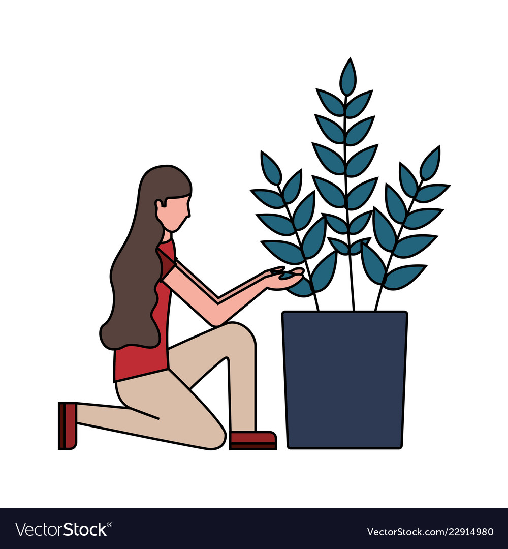 Woman With Potted Plant Decoration Royalty Free Vector Image