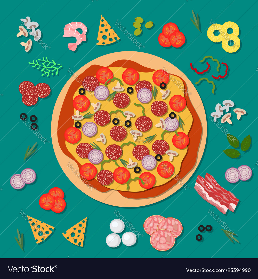 Delicious pizza with salami cheese tomato Vector Image