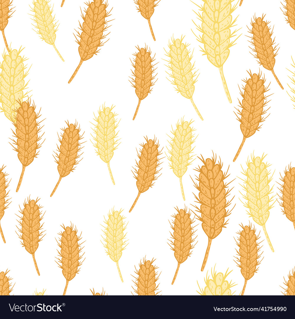 Wheat seamless pattern cereal crop sketch