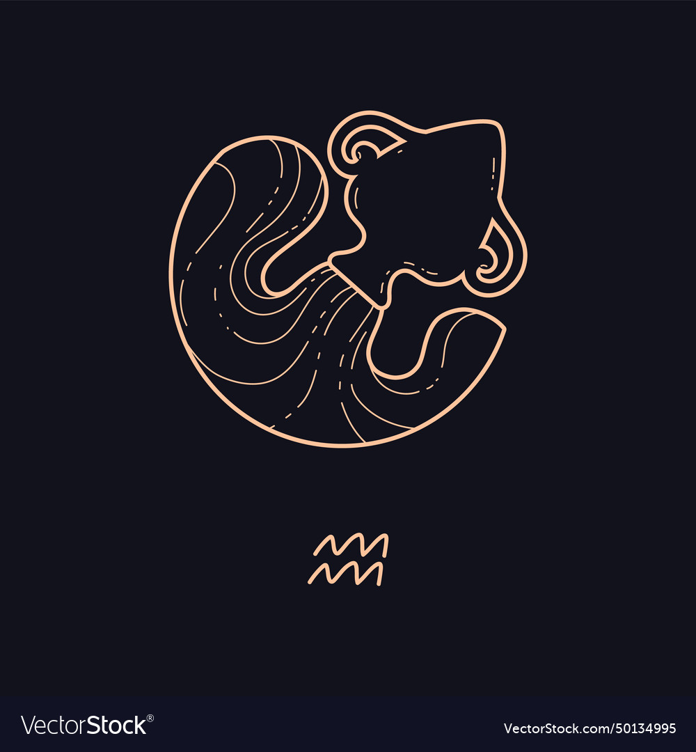 Aquarius zodiac symbol golden contour on dark vector image Aquarius zodiac symbol golden contour on dark