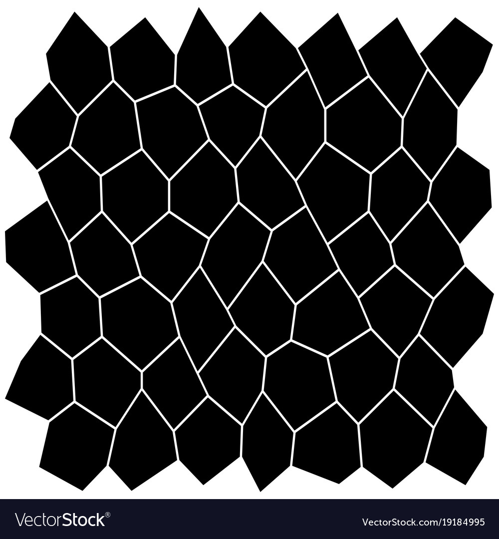 Black and white irregular grid