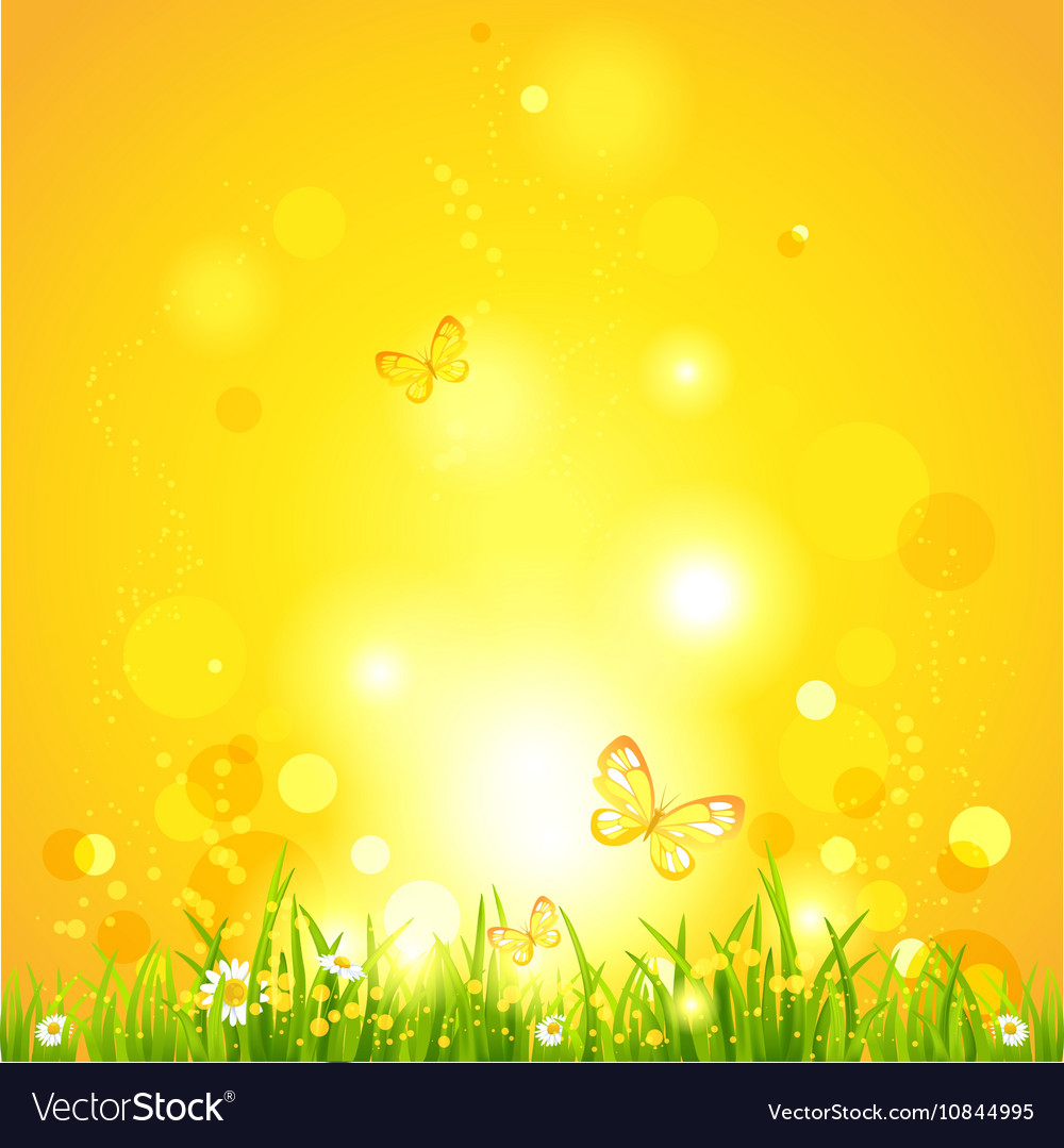 Golden Meadow Evening
