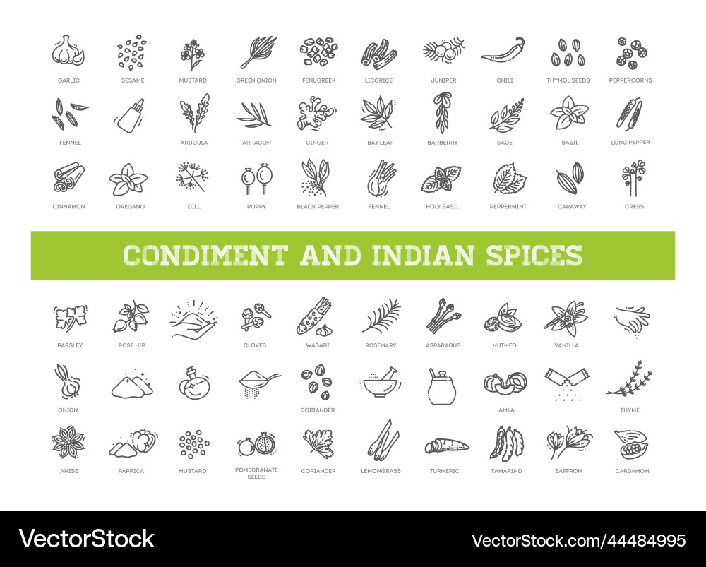 Indian spices condiment icons set Royalty Free Vector Image