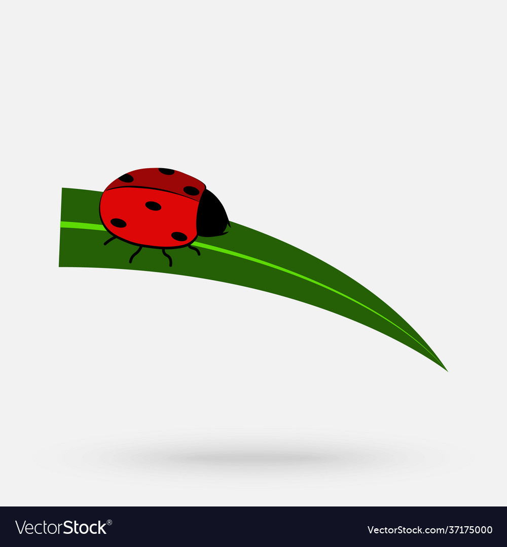 Ladybug Tapete freier Raum für Text rot