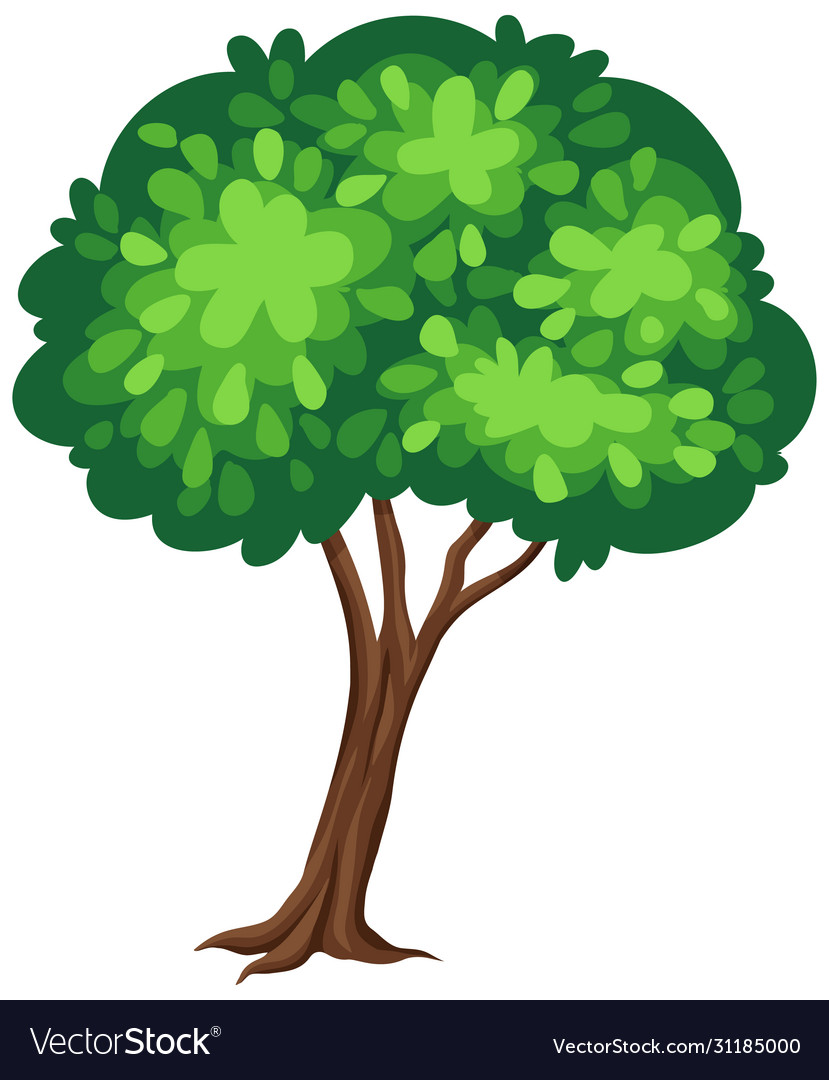 One big tree on white background Royalty Free Vector Image