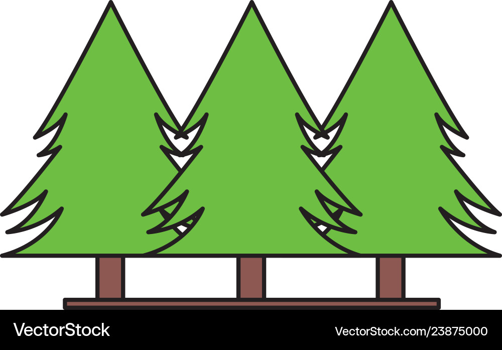 Pine trees forest Royalty Free Vector Image - VectorStock