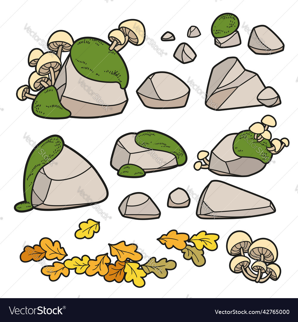 Set of stones oak leaves moss and toadstool