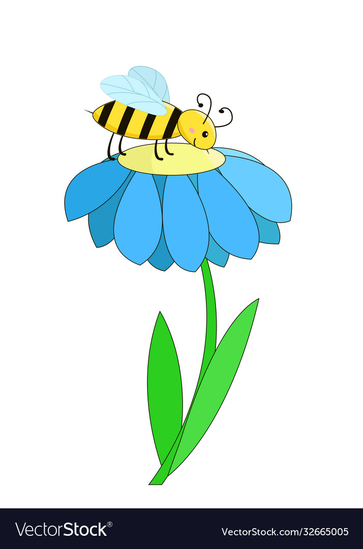 A bee sits on flower and collects nectar Vector Image