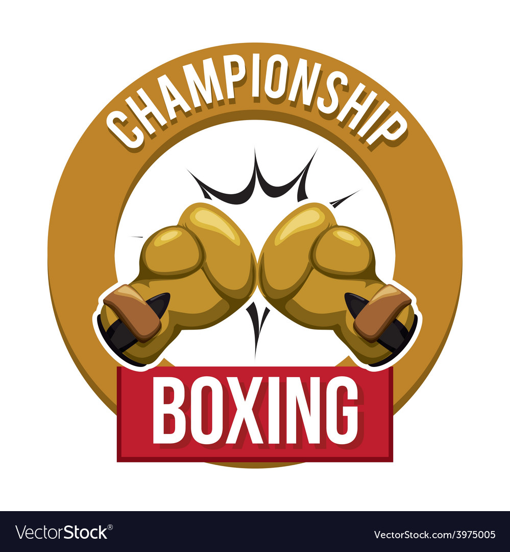 Boxing sport