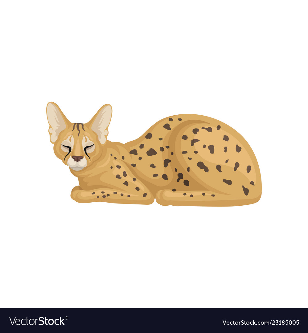 Flaches Design des schlafenden african serval