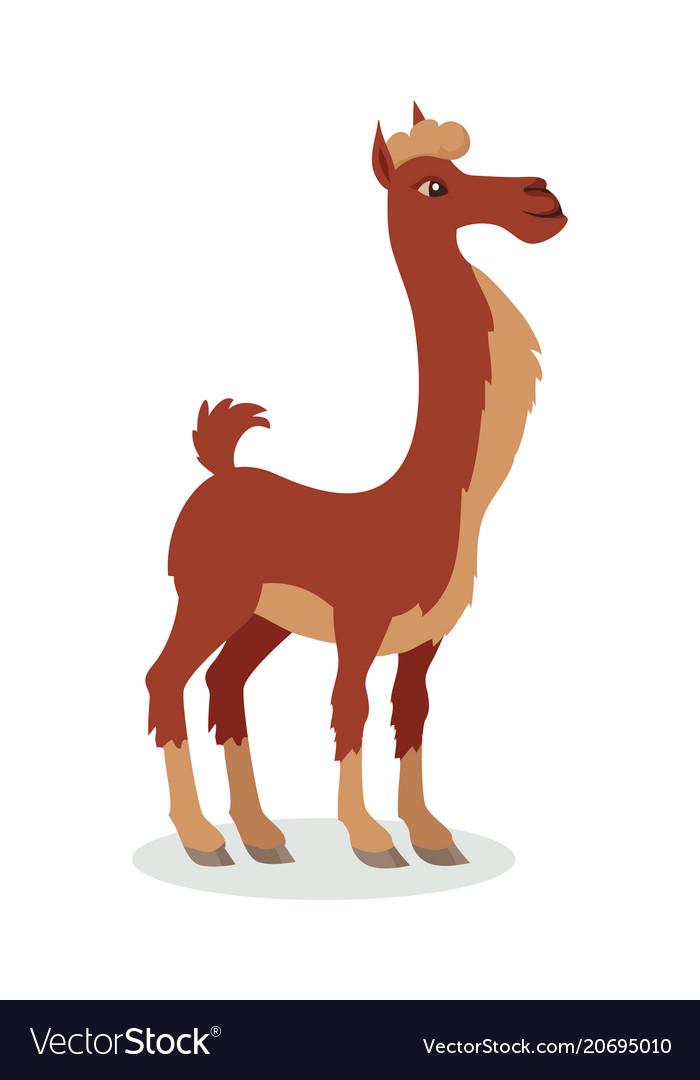 Llama cartoon icon in flat design