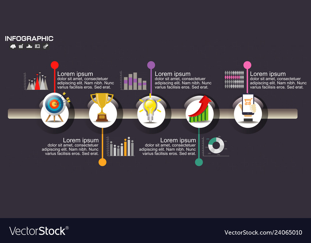 Timeline infographic chart with many color design Vector Image