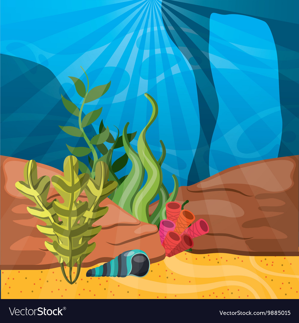 Coral shell and algae icon sea life design