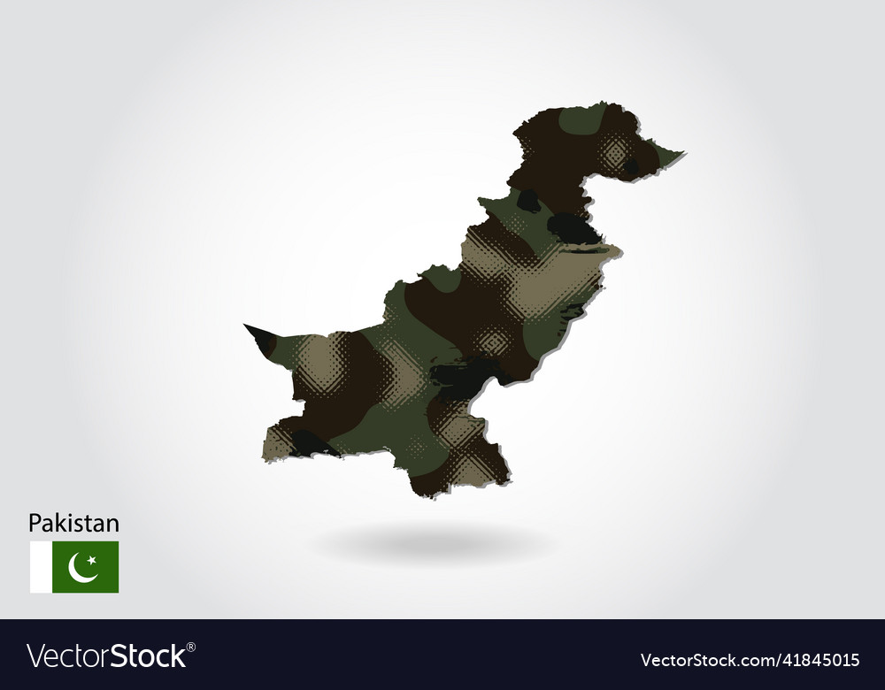 Pakistan map with camouflage pattern forest Vector Image