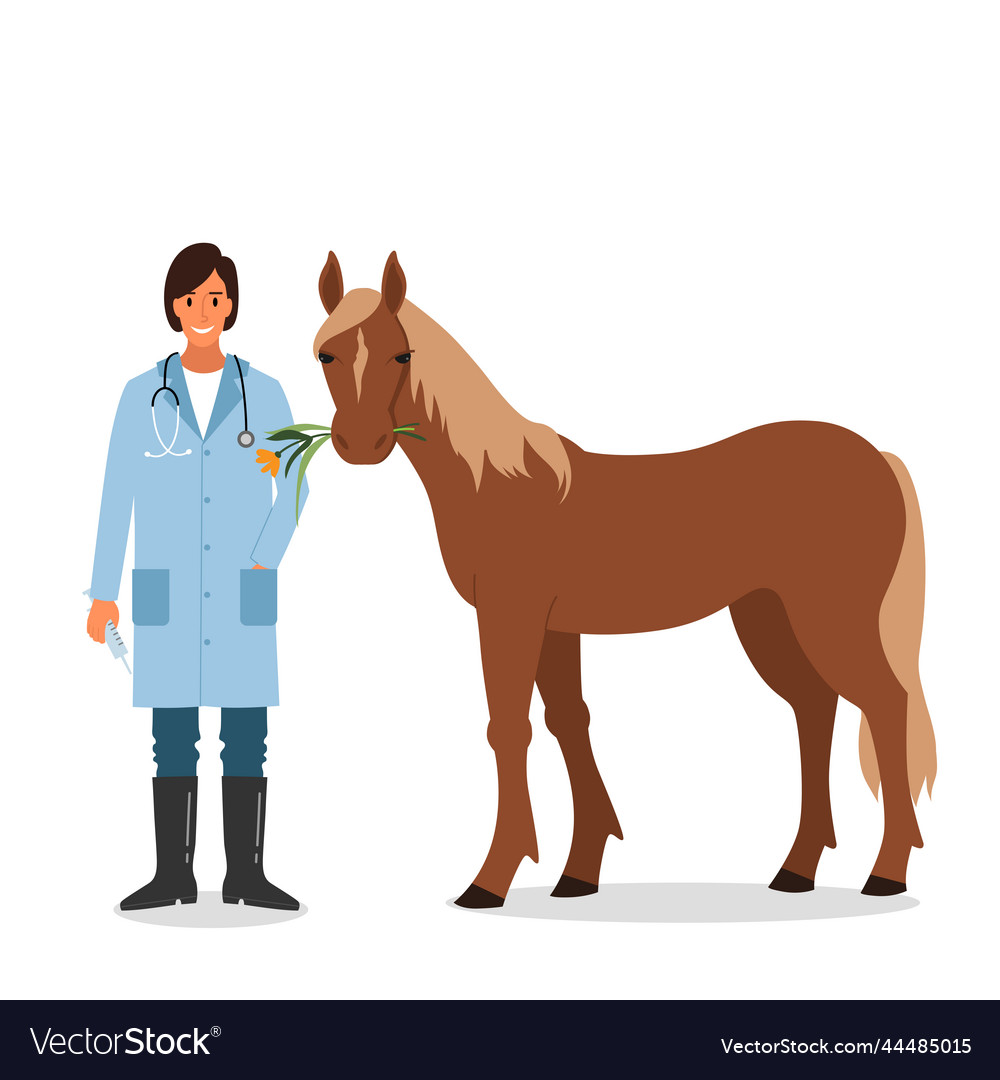 Veterinarian and horse isolated Royalty Free Vector Image