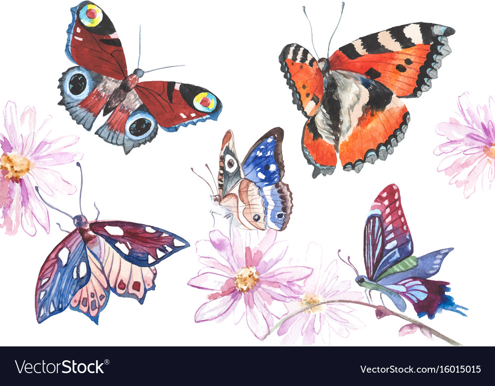 Watercolor butterflies Royalty Free Vector Image