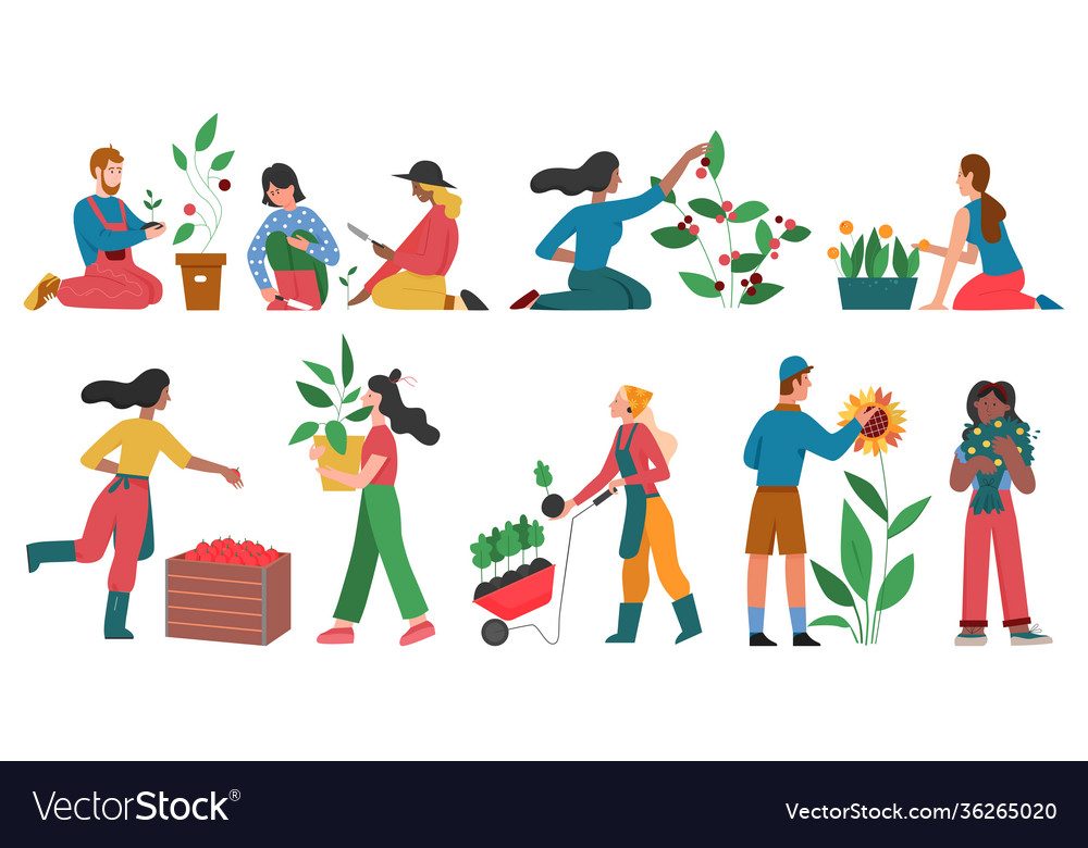 Gardeners people cultivate horticulture plants set