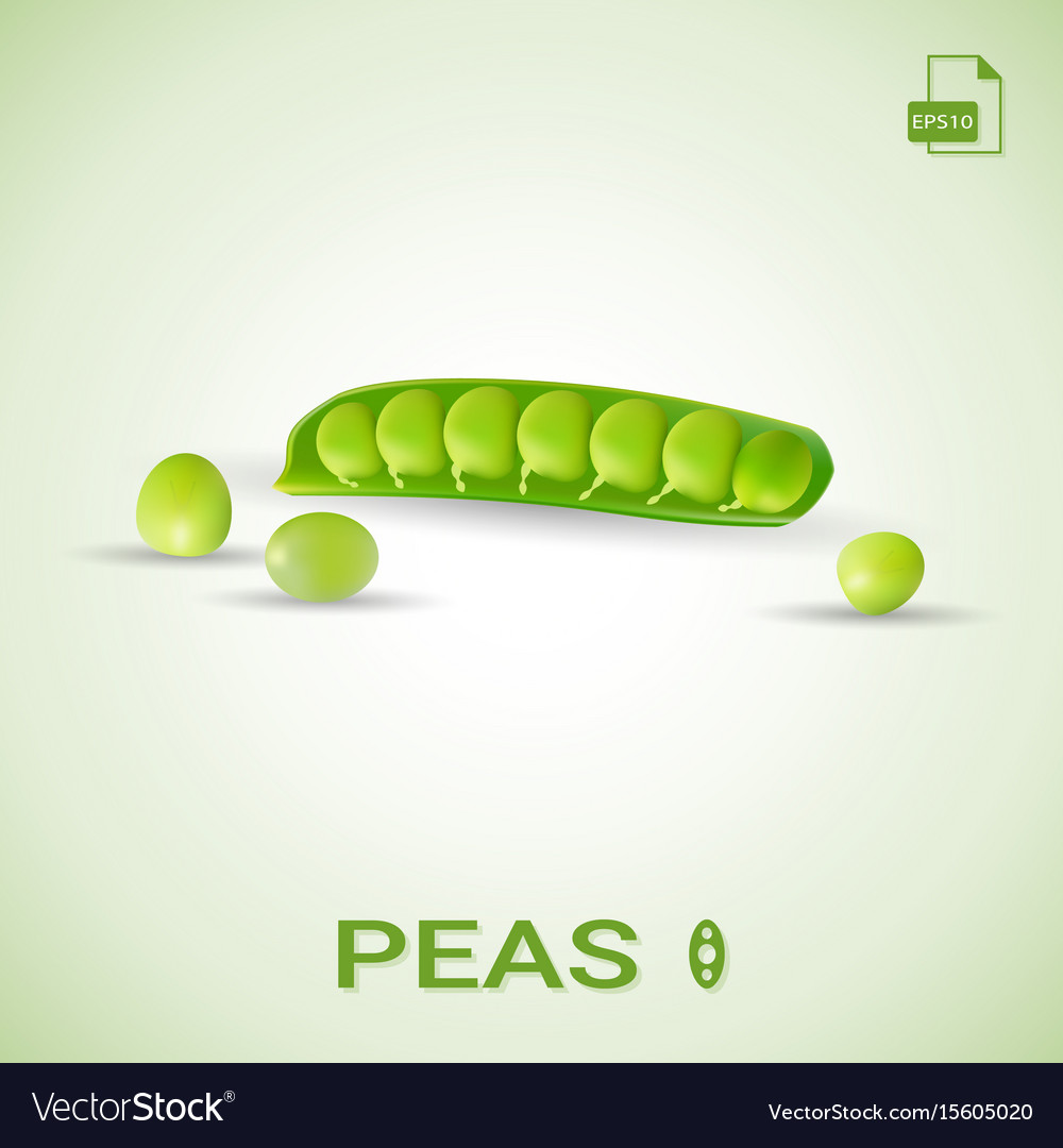 Set of shelled fresh green peas