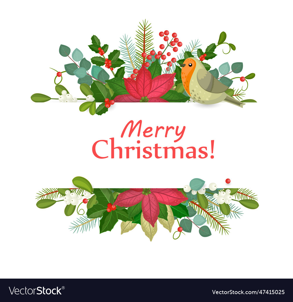 Christmas banner with winter flowers plants Vector Image