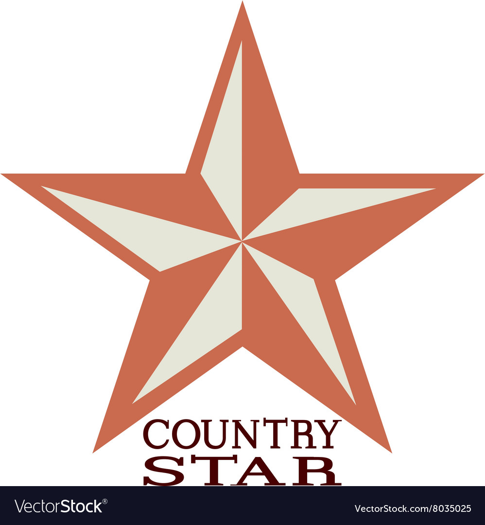 Lone Star Decoration