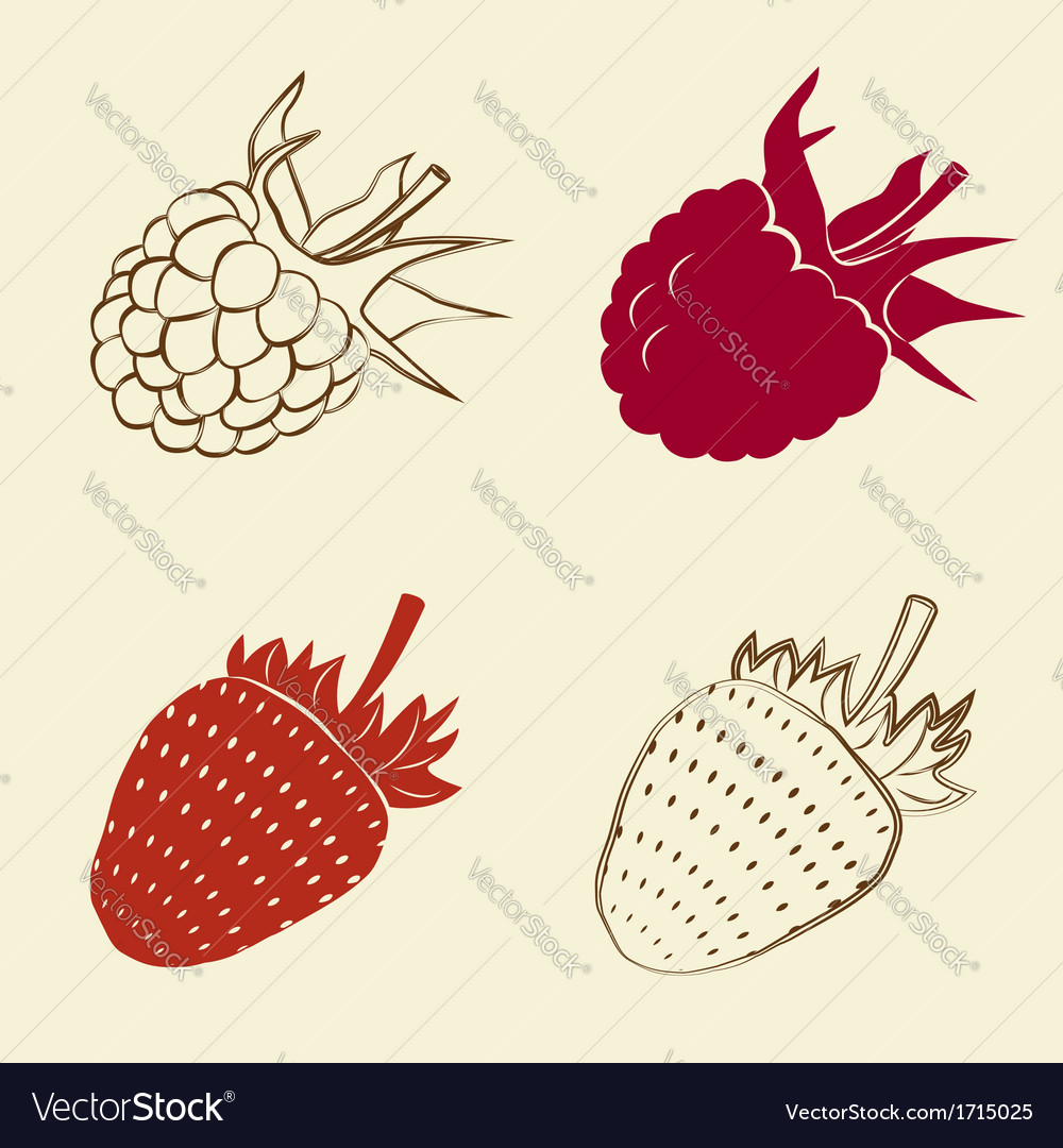 Raspberry and strawberry icons