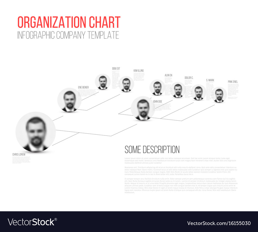 Company Organization Chart - White