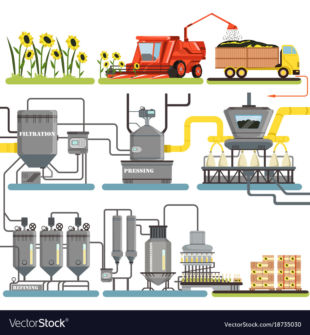 Sunflower oil production process stages