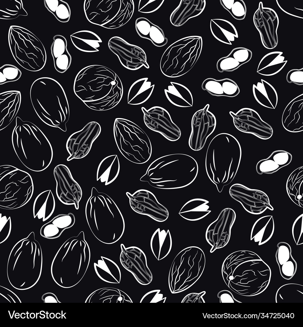 Nuts Royalty Free Vector Image - VectorStock